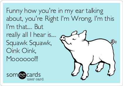 Funny how you're in my ear talking
about, you're Right I'm Wrong, I'm this
I'm that.... But
really all I hear is....
Squawk Squawk,
Oink Oink,