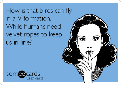 How is that birds can fly
in a V formation.
While humans need
velvet ropes to keep
us in line?