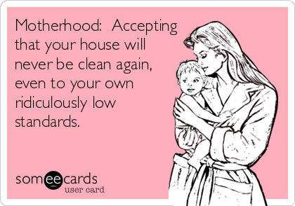 Motherhood:  Accepting
that your house will
never be clean again,
even to your own
ridiculously low
standards.