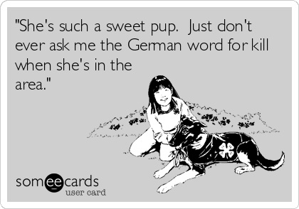 "She's such a sweet pup.  Just don't
ever ask me the German word for kill
when she's in the
area."