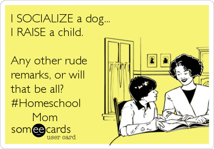I SOCIALIZE a dog...
I RAISE a child.

Any other rude
remarks, or will
that be all?
#Homeschool 
      Mom