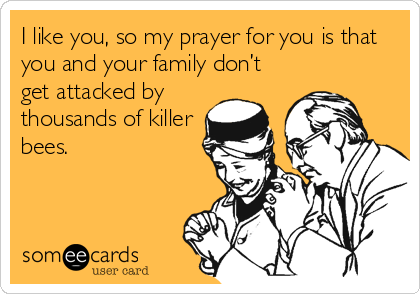 I like you, so my prayer for you is that
you and your family don’t
get attacked by
thousands of killer
bees.