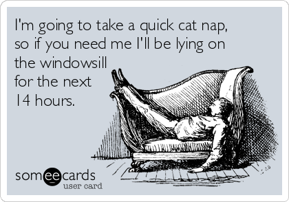 I'm going to take a quick cat nap, 
so if you need me I'll be lying on
the windowsill
for the next
14 hours. 