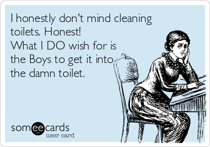 I honestly don't mind cleaning
toilets. Honest!
What I DO wish for is
the Boys to get it into
the damn toilet.