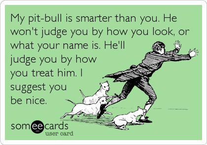 My pit-bull is smarter than you. He
won't judge you by how you look, or
what your name is. He'll
judge you by how
you treat him. I
suggest you
be nice.