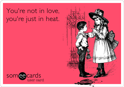 You're not in love,
you're just in heat.