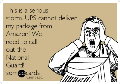 This is a serious
storm. UPS cannot deliver
my package from
Amazon! We
need to call
out the
National
Guard!