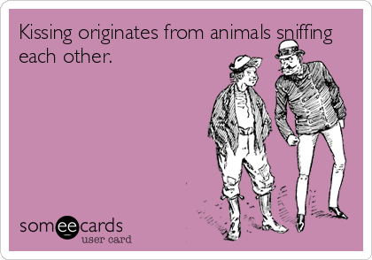 Kissing originates from animals sniffing
each other.
