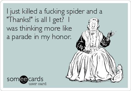 I just killed a fucking spider and a
"Thanks!" is all I get?  I
was thinking more like
a parade in my honor.