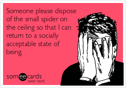 Someone please dispose
of the small spider on
the ceiling so that I can
return to a socially
acceptable state of
being.