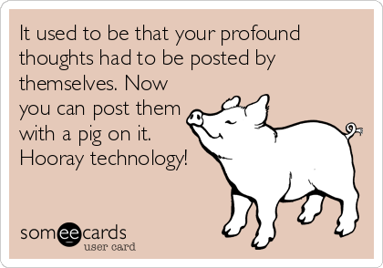 It used to be that your profound
thoughts had to be posted by
themselves. Now
you can post them
with a pig on it.
Hooray technology!