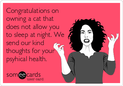 Congratulations on
owning a cat that
does not allow you
to sleep at night. We
send our kind
thoughts for your
psyhical health.