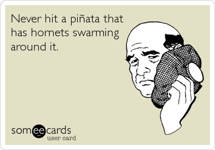 Never hit a piñata that
has hornets swarming
around it.