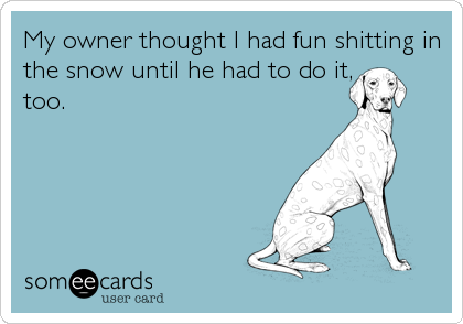 My owner thought I had fun shitting in
the snow until he had to do it,
too.