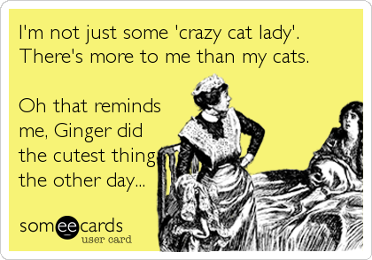 I'm not just some 'crazy cat lady'.
There's more to me than my cats.

Oh that reminds
me, Ginger did
the cutest thing
the other day...