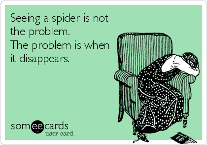Seeing a spider is not
the problem.   
The problem is when
it disappears.
