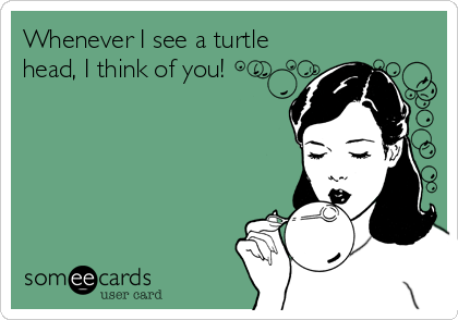 Whenever I see a turtle
head, I think of you!