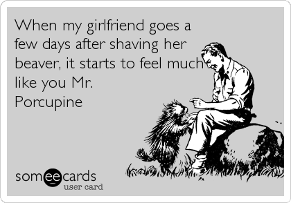 When my girlfriend goes a
few days after shaving her
beaver, it starts to feel much
like you Mr.
Porcupine