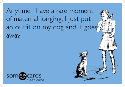 Anytime I have a rare moment
of maternal longing, I just put
an outfit on my dog and it goes
away.