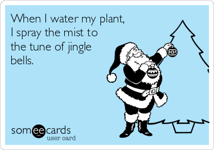 When I water my plant, 
I spray the mist to
the tune of jingle
bells.