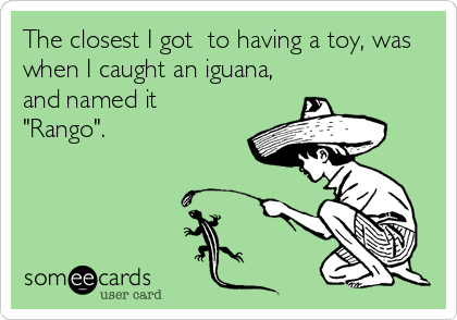 The closest I got  to having a toy, was
when I caught an iguana,
and named it
"Rango".