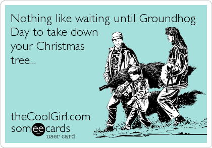 Nothing like waiting until Groundhog
Day to take down
your Christmas
tree...



theCoolGirl.com