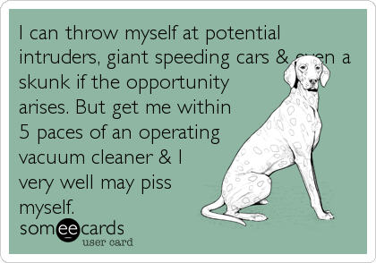 I can throw myself at potential
intruders, giant speeding cars & even a
skunk if the opportunity
arises. But get me within
5 paces of an operating
vacuum cleaner & I
very well may piss
myself.