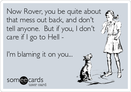 Now Rover, you be quite about
that mess out back, and don't
tell anyone.  But if you, I don't
care if I go to Hell - 

I'm blaming it on you...