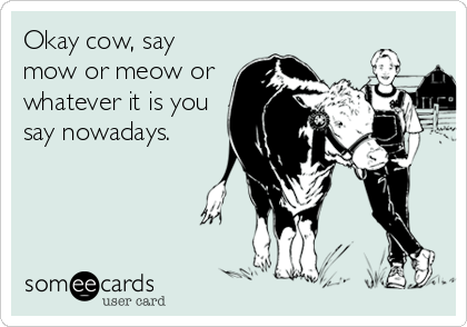 Okay cow, say
mow or meow or
whatever it is you
say nowadays.