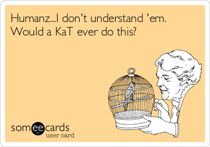 Humanz...I don't understand 'em.
Would a KaT ever do this?
