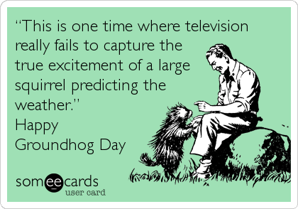 “This is one time where television
really fails to capture the
true excitement of a large
squirrel predicting the
weather.”           %