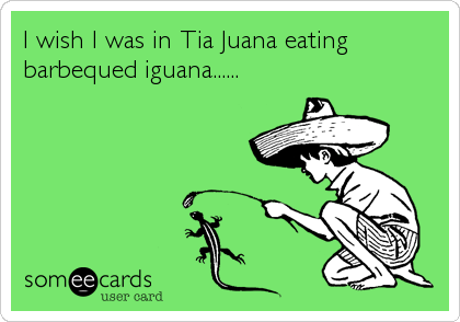 I wish I was in Tia Juana eating
barbequed iguana......