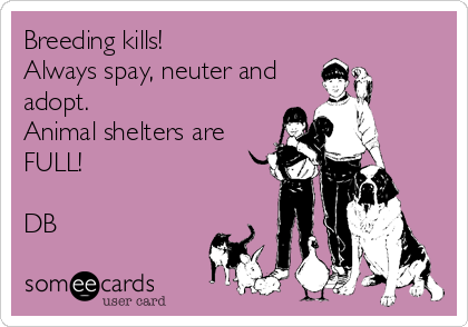 Breeding kills!
Always spay, neuter and
adopt.
Animal shelters are
FULL!

DB