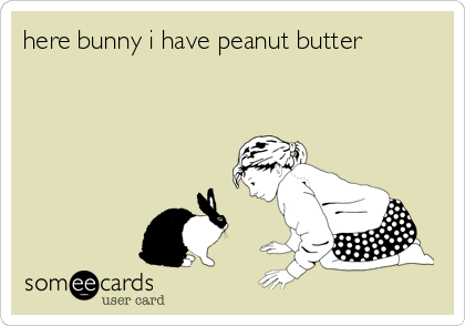 here bunny i have peanut butter