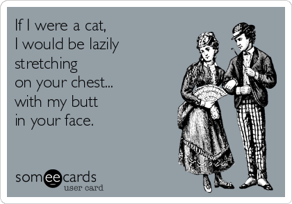 If I were a cat, 
I would be lazily 
stretching
on your chest...
with my butt 
in your face.