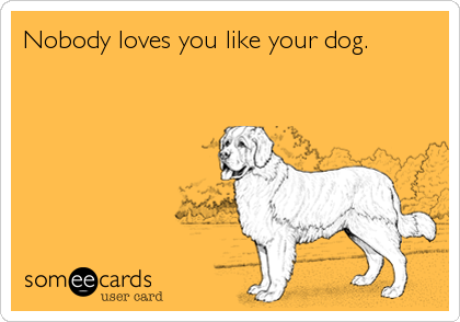 Nobody loves you like your dog.