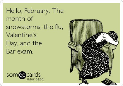 Hello, February. The
month of
snowstorms, the flu,
Valentine's
Day, and the 
Bar exam.