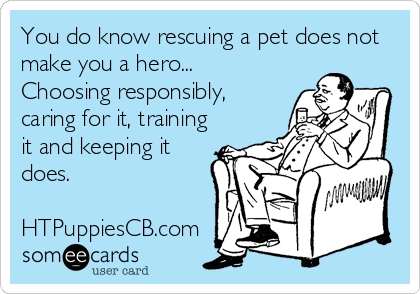 You do know rescuing a pet does not
make you a hero... 
Choosing responsibly,
caring for it, training
it and keeping it
does. 
<br 