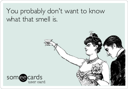 You probably don't want to know
what that smell is.