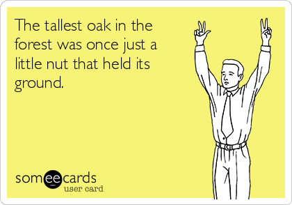 The tallest oak in the
forest was once just a 
little nut that held its
ground.