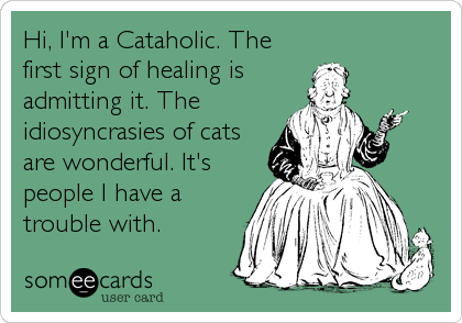 Hi, I'm a Cataholic. The
first sign of healing is
admitting it. The
idiosyncrasies of cats
are wonderful. It's
people I have a
trouble with