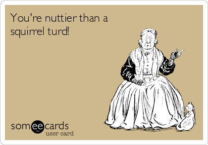 You're nuttier than a
squirrel turd!