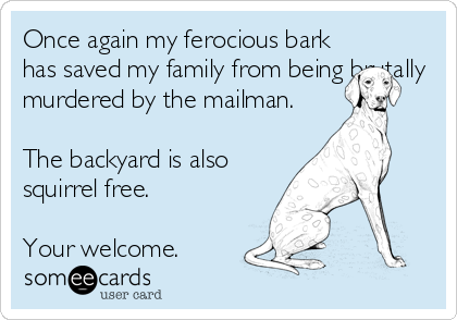 Once again my ferocious bark
has saved my family from being brutally
murdered by the mailman.

The backyard is also
squirrel free.

Your welcome.