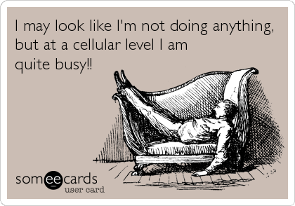 I may look like I'm not doing anything,
but at a cellular level I am
quite busy!!