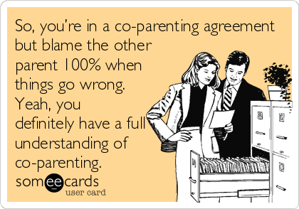So, you’re in a co-parenting agreement
but blame the other
parent 100% when
things go wrong. 
Yeah, you
definitely have a full
understanding of
co-parenting.