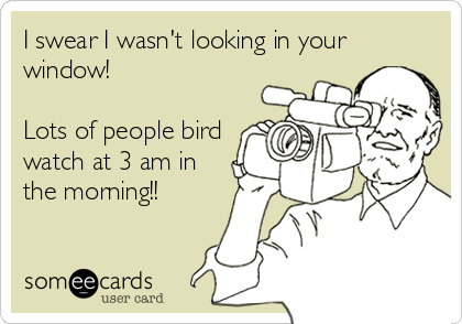 I swear I wasn't looking in your
window! 

Lots of people bird
watch at 3 am in
the morning!!