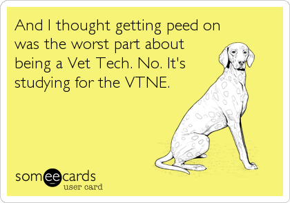 And I thought getting peed on
was the worst part about
being a Vet Tech. No. It's
studying for the VTNE.