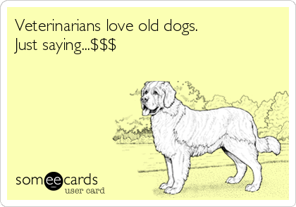 Veterinarians love old dogs.
Just saying...$$$