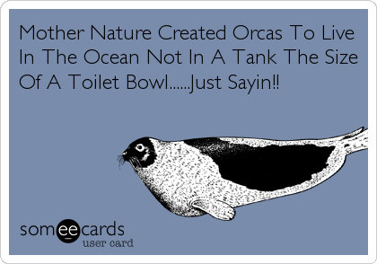 Mother Nature Created Orcas To Live
In The Ocean Not In A Tank The Size
Of A Toilet Bowl......Just Sayin!!