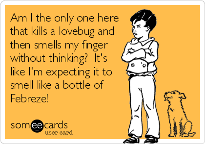 Am I the only one here
that kills a lovebug and
then smells my finger
without thinking?  It's
like I'm expecting it to
smell like a bottle of
Febreze!